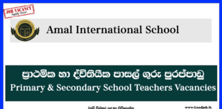 Amal International School-Teachers Vacancies