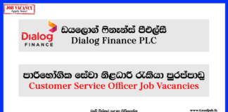 Customer Service Officer - Dialog Finance PLC-www.goodjob.lk