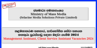 Ministry of mass media-Job Vacancies