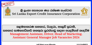 Sri Lanka Export Credit Insurance Corporation Vacancies 2024-www.goodjob.lk
