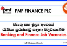 Banking Job vacancies - PMF Finance - www.goodjob.lk