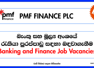 Banking Job vacancies - PMF Finance - www.goodjob.lk