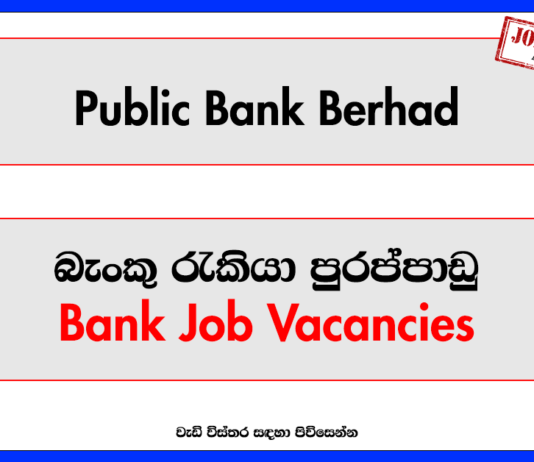 Government Job Vacancies