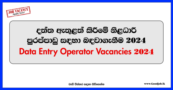 Data Entry Operator Vacancies 2024