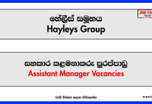 Assistant Manager - Human Resources - Hayleys Group