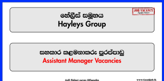 Assistant Manager - Human Resources - Hayleys Group
