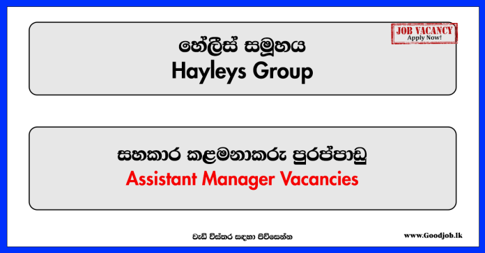 Assistant Manager - Human Resources - Hayleys Group