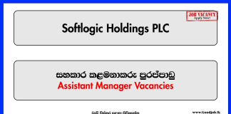 Assistant Manager - Softlogic Holdings PLC