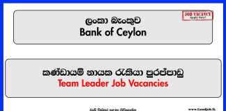 Bank of Ceylon - Team Leader