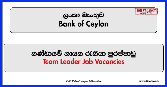 Bank of Ceylon - Team Leader