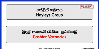 Cashier - Hayleys Group