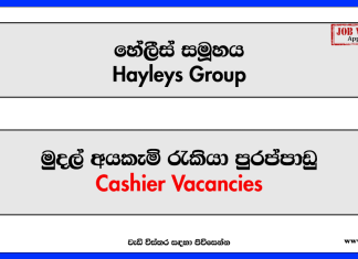 Cashier - Hayleys Group