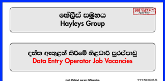 Data Entry Operator - hayleys Group