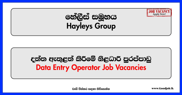 Data Entry Operator - hayleys Group