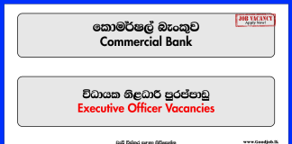 Executive Officer (IT Risk) - Commercial Bank