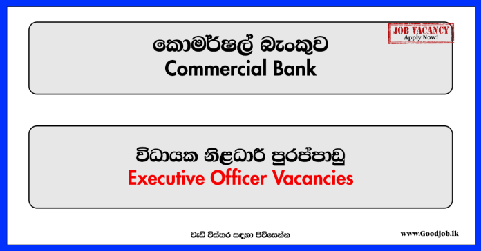 Executive Officer (IT Risk) - Commercial Bank