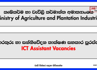 ICT Assistant – Ministry of Agriculture and Plantation Industries