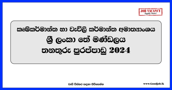 Maintenance Officer – Sri Lanka Tea Board