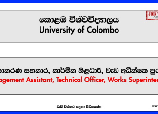 Management Assistant, Technical Officer, Works Superintendent – University of Colombo