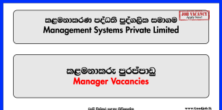 Management Systems Private Limited - Manager Vacancies