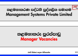 Management Systems Private Limited - Manager Vacancies