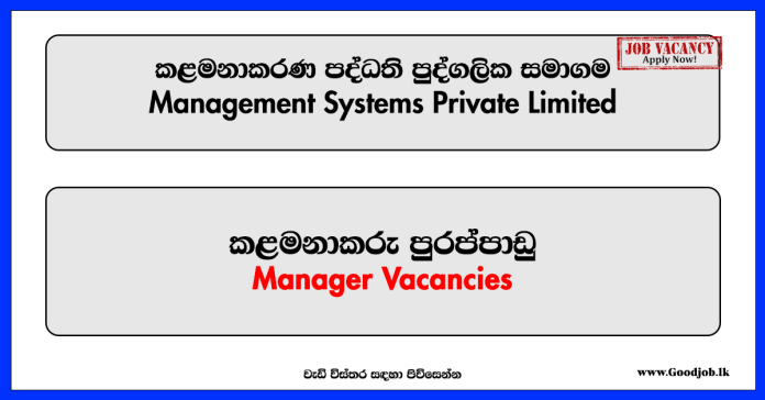 Management Systems Private Limited - Manager Vacancies