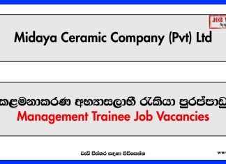 Management Trainee - Midaya Ceramic Company (Pvt) Ltd