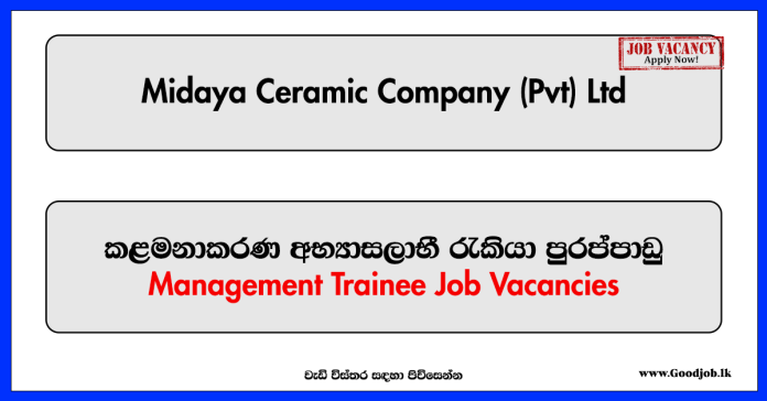 Management Trainee - Midaya Ceramic Company (Pvt) Ltd