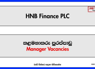 Manager - Digital Transformation HNB Finance PLC