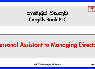 Personal Assistant to Managing Director - Cargills Bank PLC