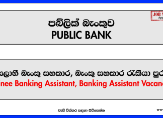 Public Bank - Trainee Banking Assistant, Banking Assistant