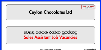 Sales Assistant - Ceylon Chocolates Ltd