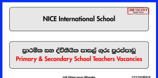 Teacher Vacancies - NICE International School