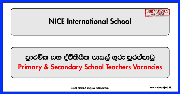 Teacher Vacancies - NICE International School