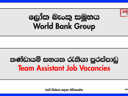 Team Assistant - World Bank Group