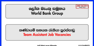 Team Assistant - World Bank Group