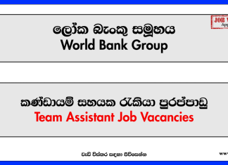 Team Assistant - World Bank Group