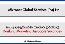 Banking Marketing Associate - Micronet Global Services (Pvt) Ltd