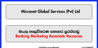 Banking Marketing Associate - Micronet Global Services (Pvt) Ltd