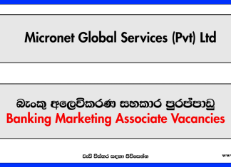 Banking Marketing Associate - Micronet Global Services (Pvt) Ltd