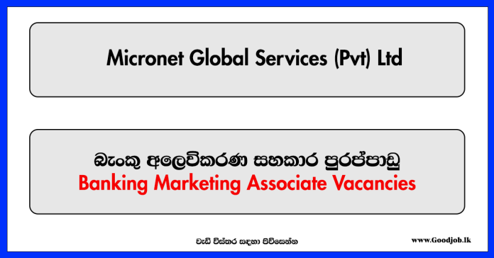 Banking Marketing Associate - Micronet Global Services (Pvt) Ltd