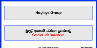 දේශක්ති ලංකා විදේශ රැකියා ආයතනය