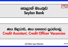 Credit Assistant, Credit Officer – Seylan Bank