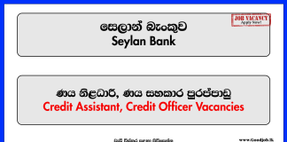 Credit Assistant, Credit Officer – Seylan Bank
