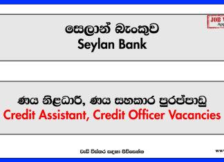 Credit Assistant, Credit Officer – Seylan Bank