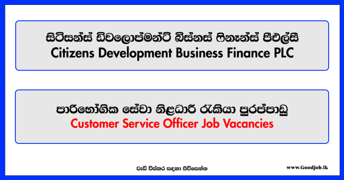 Customer Service Officer - Citizens Development Business Finance PLC