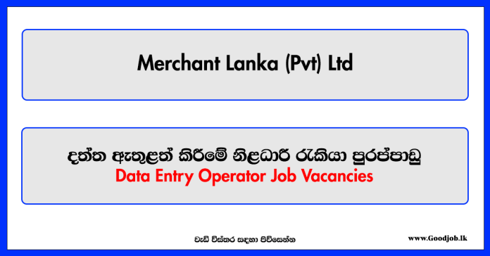 Data Entry Operator - Merchant Lanka (Pvt) Ltd