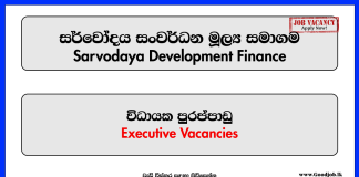 Executive - Sarvodaya Development Finance