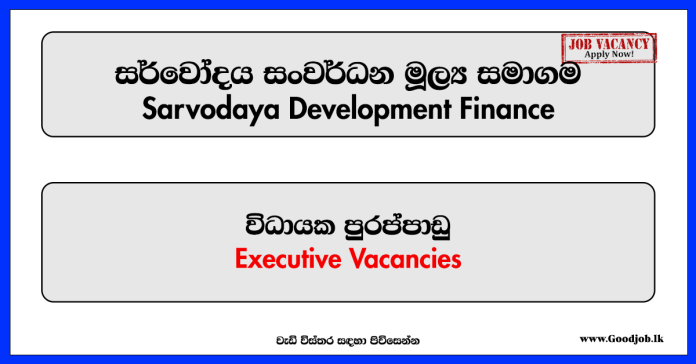 Executive - Sarvodaya Development Finance