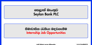 Internship - Seylan Bank PLC